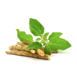 Ashvagandha Extrakt, 120 Presslinge