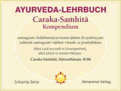 Ayurveda-Lehrbuch (USB-Stick)
