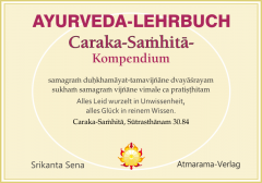 Ayurveda-Lehrbuch (PDF)